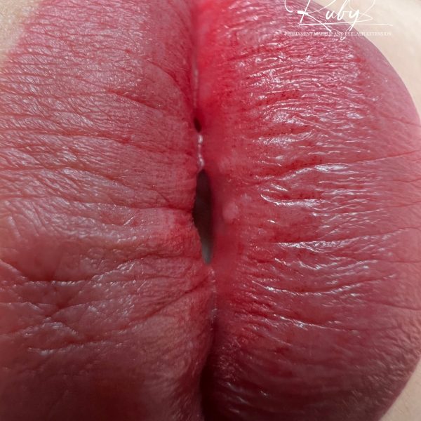 z4313742439586 9e2cbf7e4147d7ec7d863e5effb982b2