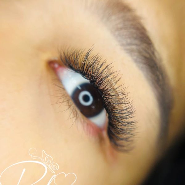 z4313822347311 cf8f907dcad8c48ccef0703fda44dc08